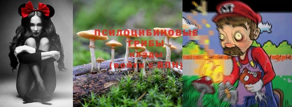 амф Баксан