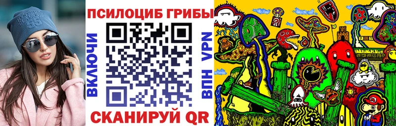 купить закладку  Белёв  Псилоцибиновые грибы GOLDEN TEACHER 